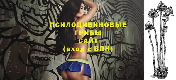 2c-b Абдулино