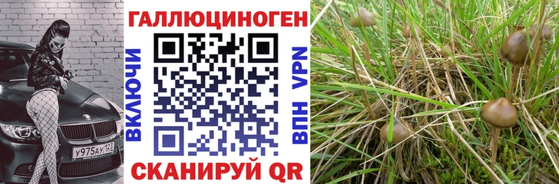 Галлюциногенные грибы Cubensis  Янаул 
